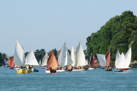 Voile aviron dans le Golfe