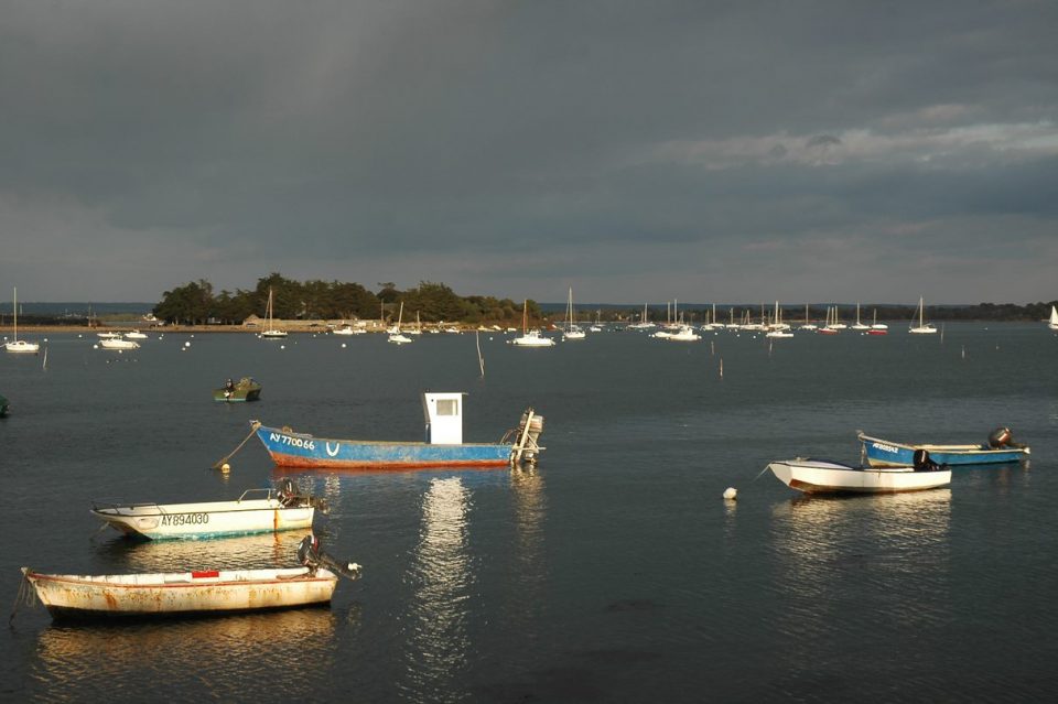 Semaine du Golfe à Saint-Armel