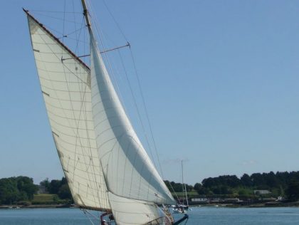 LA MOUETTE RIEUSE