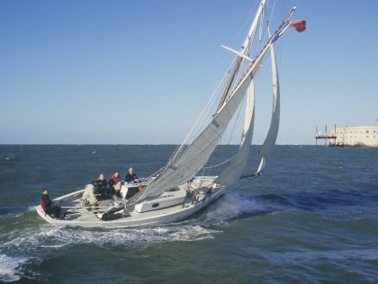 CLAPOTIS