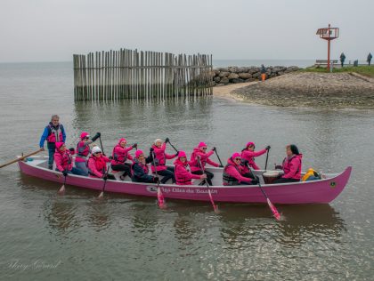 Les Elles du Bassin