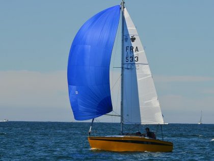 Irus