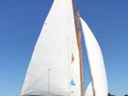 BELUGA