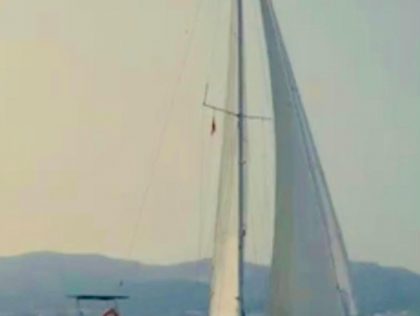 Camaleon Azul
