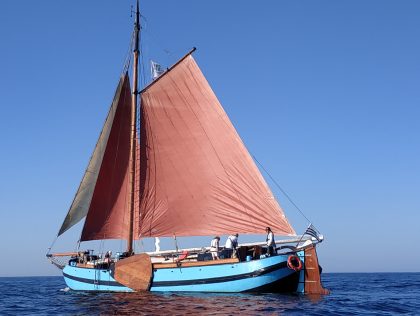 Korriganez