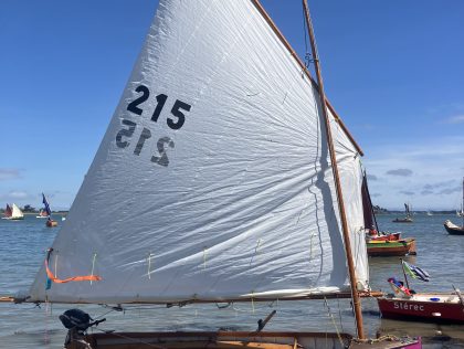 Margouillat 