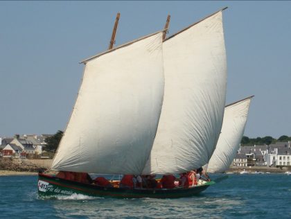 fée des marais
