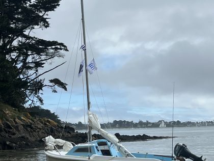 Marin