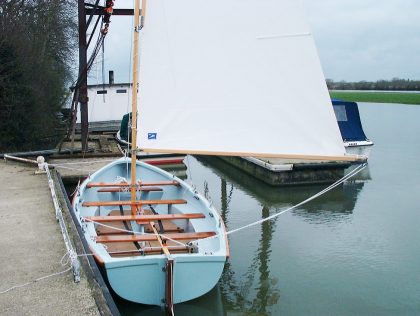 Swan2