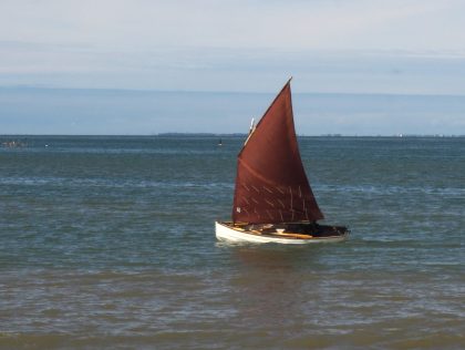 Moana