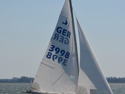 Schlepppinsel