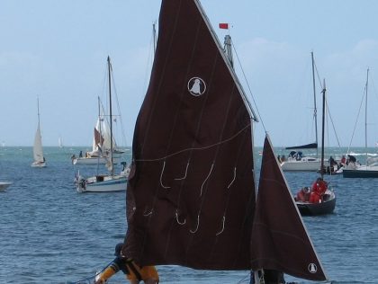 Traquet Pâtre