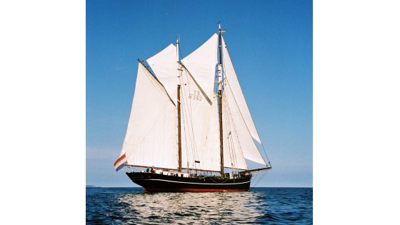 1039.jpg