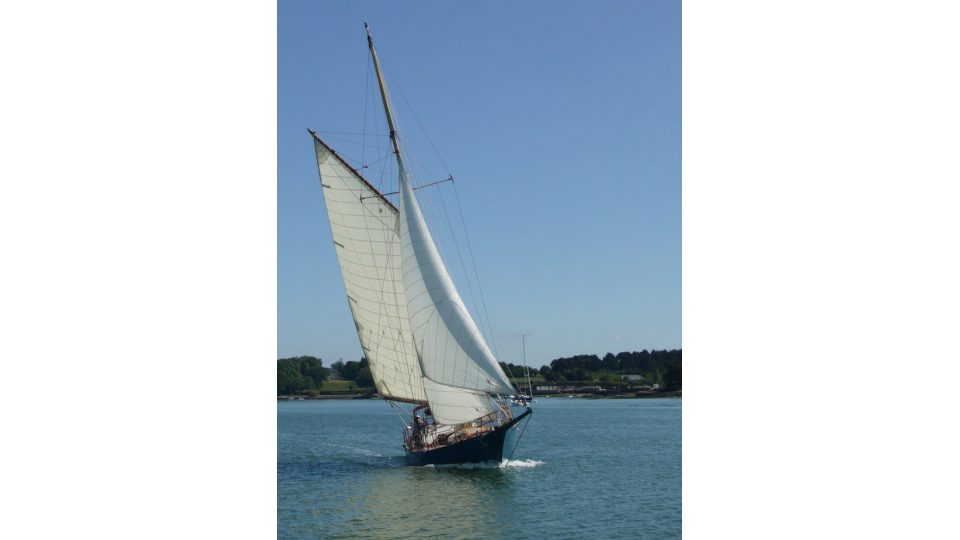 LA MOUETTE RIEUSE