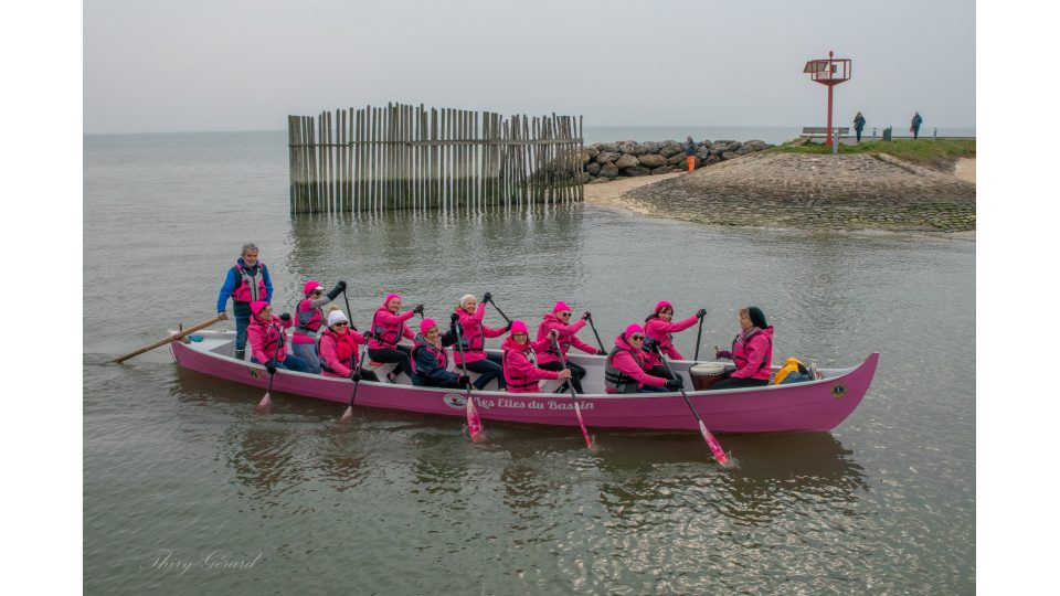 Les Elles du Bassin