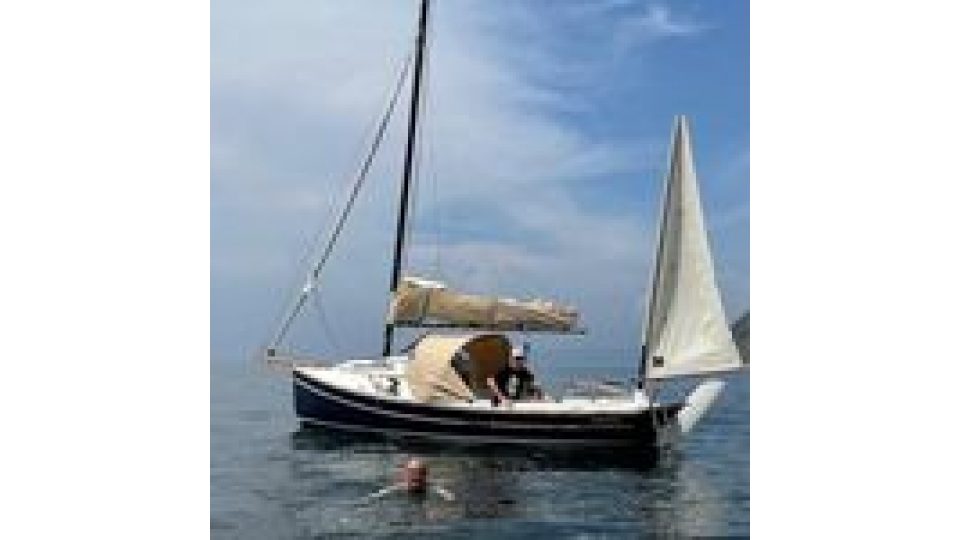 Albatross