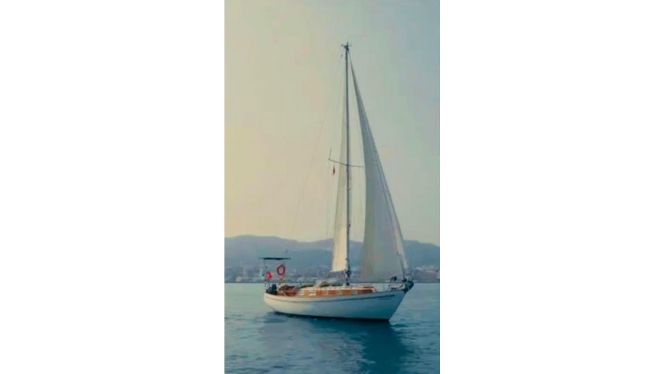 Camaleon Azul