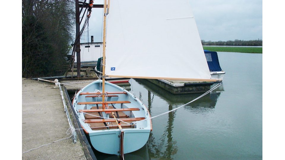 Swan2