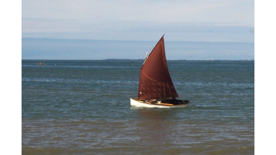 Moana