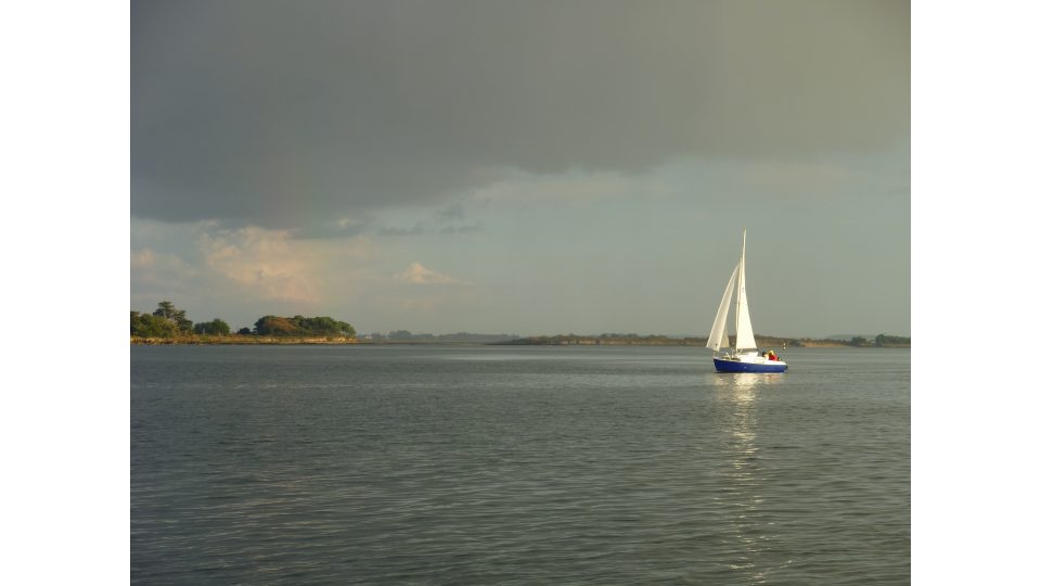 STERNE (Biquille)