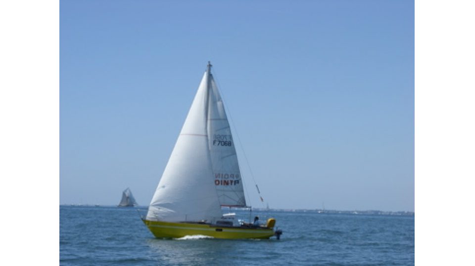 Gout d'fût
