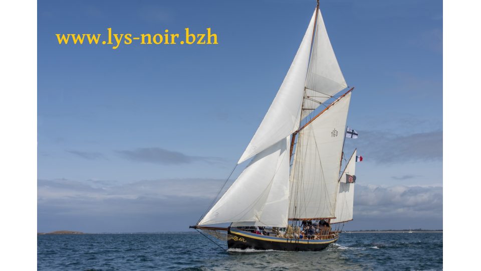 lys noir 