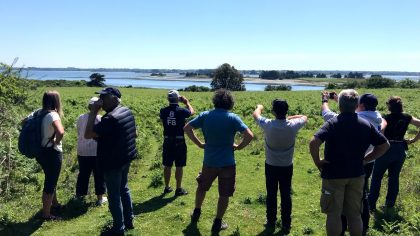 Le Parc Naturel Régional du Golfe du Morbihan : une précieuse mission d’accompagnement 