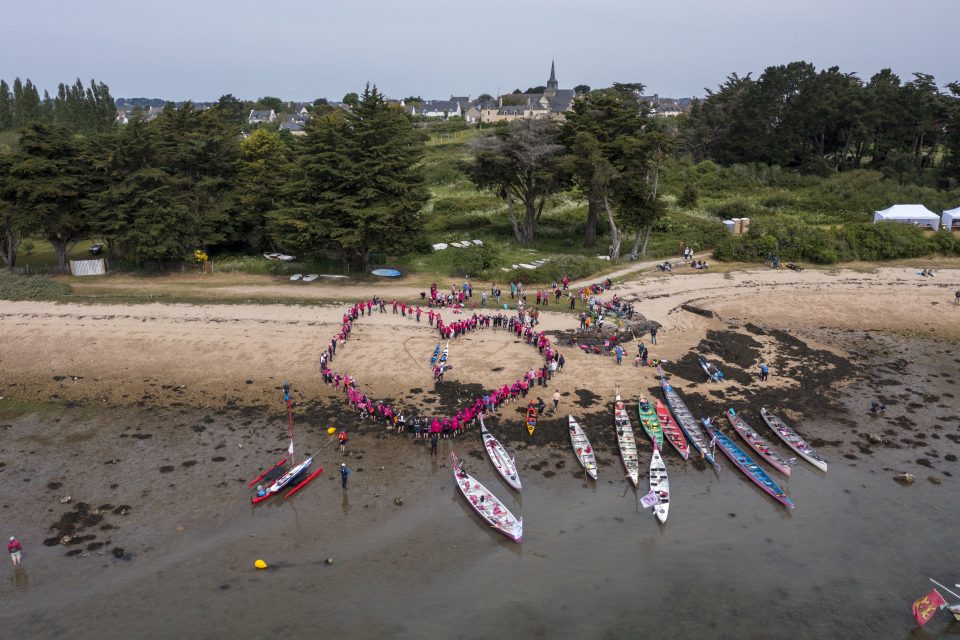 Zoom sur | Les Pink Ladies