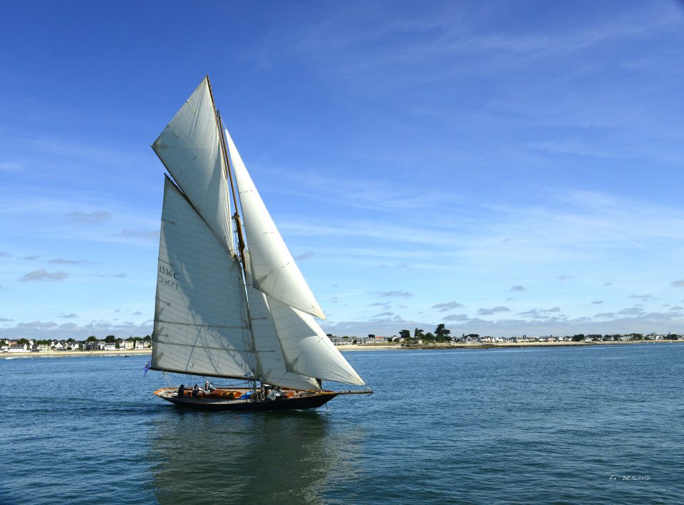 Flottille J, votre PROGRAMME à la Semaine du Golfe 2025