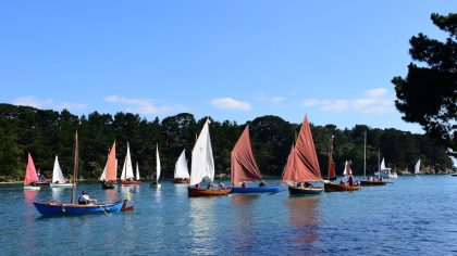 2017   les Voile Aviron dans le Gois de Berder Mo Anne DSC 3861 maCAdamePHOTOS copie.JPG