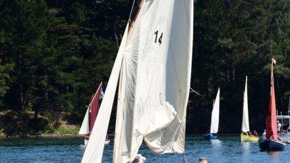 2017   les Voile Aviron dans le Gois de Berder Mo Anne DSC 3872 maCAdamePHOTOS copie.JPG