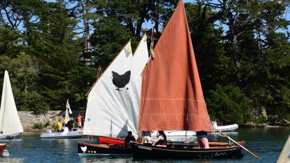 2017   les Voile Aviron dans le Gois de Berder Mo Anne DSC 3877 maCAdamePHOTOS copie.JPG