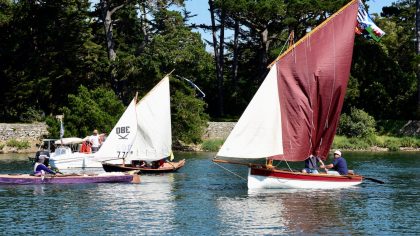 2017   les Voile Aviron dans le Gois de Berder Mo Anne DSC 3900 maCAdamePHOTOS copie.jpg