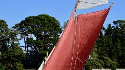 2017   les Voile Aviron dans le Gois de Berder Mo Anne DSC 3907 maCAdamePHOTOS copie.jpg