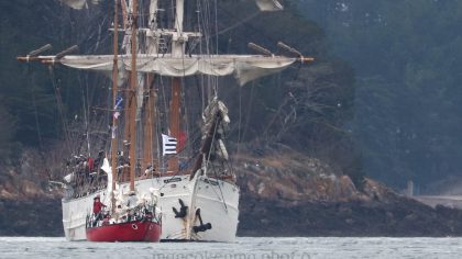 2019 Valence LEMAISTRE le Français   Joshua  2 juin 19  Île Longue  10h34   MarcoKerma Photo.jpg