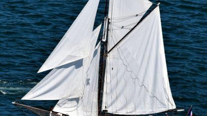 2019   Photos aériennes Chloé SONNECK ErwanLeCornec.01062019  143 .jpg