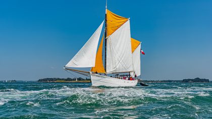 S.Le Bras Photographie semaine du golfe - Etoile Molène N 2.JPG