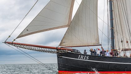 S.Le Bras Photographie semaine du golfe - Iris N 5.JPG