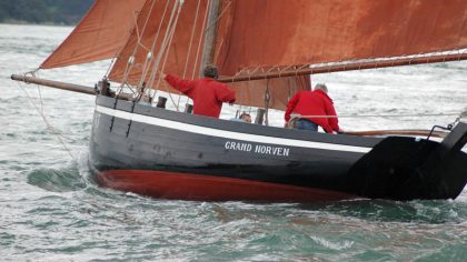 cat1 23.jpg