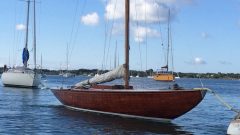 Vends 5 JI, idéal pour la semaine du golfe !