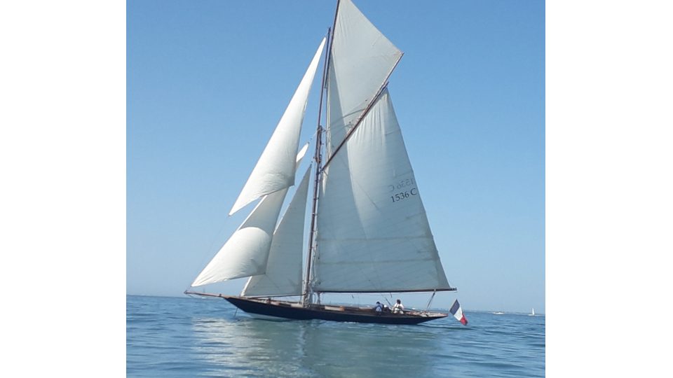 20250603 140446.jpg