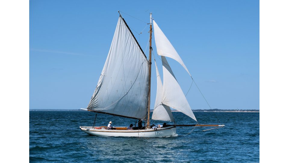 DSCF5378 1.JPG